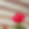 woman seeking men Namakkal near me photo - Vasavimalliga