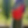 woman seeking men Dhrangadhra near me photo - Asra