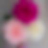 Single Female - Rupa