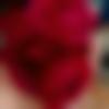 Kumaoni Ladies, Woman Seeking Men Photo - Amayara