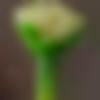 woman seeking men Abu Road near me photo - Anshu