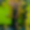 woman seeking men Ranikhet near me photo - Yogita