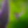 woman seeking men Phusro near me photo - Malappa