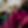 Single Male - Nilesh
