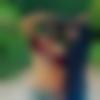 Single Male - Manoj