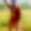 Wankaner Male Photo - Rajesh