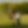 Male Photo - Amandp