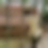 Male Photo - Karthik