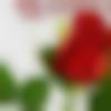 woman seeking men Palladam near me photo - Nilmoli