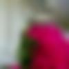 Single Female - Aathira