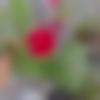 woman seeking men Kaij near me photo - Disha