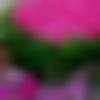 woman seeking men Jhanjharpur near me photo - Rita