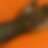 woman seeking men Ambejogai near me photo - Gagana