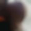 Single Female - Bhat