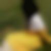 Single Female - Geet
