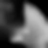 woman seeking men Gooty near me photo - Dada