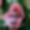 Female Photo - Sohana