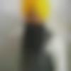 Zira Male, photo - Gurjeet