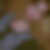 woman seeking men Unnao near me photo - Deepali
