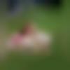 woman seeking men Davanagere near me photo - Najma