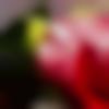 woman seeking men Dalhousie near me photo - Anu