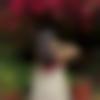 woman seeking men Chittorgarh near me photo - Anu