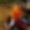 Single Male - Prathmesh