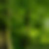 woman seeking men Bhongir near me photo - Krishna