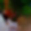 woman seeking men Anuppur near me photo - Taniya