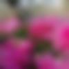 woman seeking men Podili near me photo - Tamosha