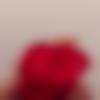 Single Male - Achu