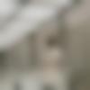 Nicobarese member profile Photo, Email, Address and Contact Details - Tushar