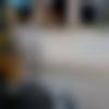 Male Photo - Badal