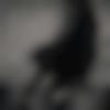 Male Photo - Mr