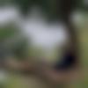Male Photo - Dijesh