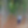 Tufanganj Male Photo - Umesh