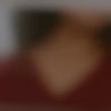 woman seeking men Dharwad near me photo - Harshita