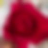 Single Female - Tuhina