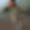 Single Male - Anjan