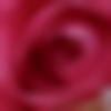 woman seeking men Vinukonda near me photo - Kushboo
