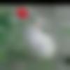 woman seeking men Nagercoil near me photo - Rani