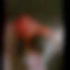 woman seeking men Delhi Ncr near me photo - Shanvika