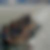 woman seeking men Arcot near me photo - Priti