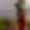 Single Female - Lipi