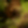 Chengannur Male, photo - Harsha