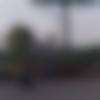 Mainpuri Male, photo - Prem