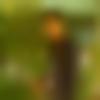 Manapparai Male Photo - Farman