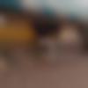 Male Photo - Chetan