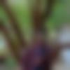 Male Photo - Venkatesh