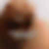 Female Photo - Luxmi